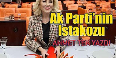 AKP'nin Istakozu ..