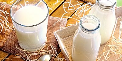 EGE Süt ve süt ürünleri ihracatçıları Çin pazarıyla hedef büyüttü